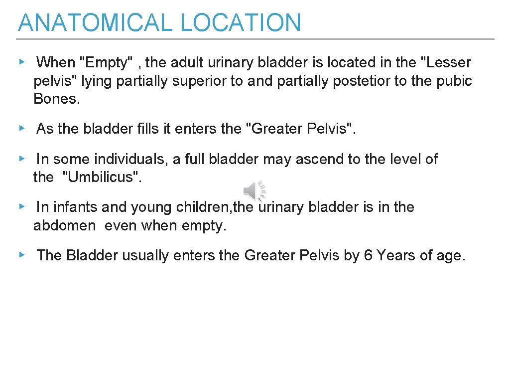 ANATOMICAL LOCATION ▸ When "Empty" , the adult urinary bladder is located in the