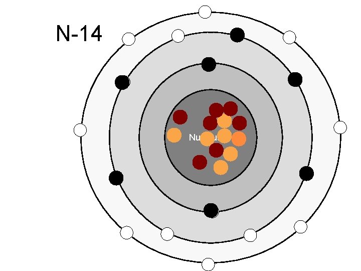 N-14 Nucleus N-14 Nucleus