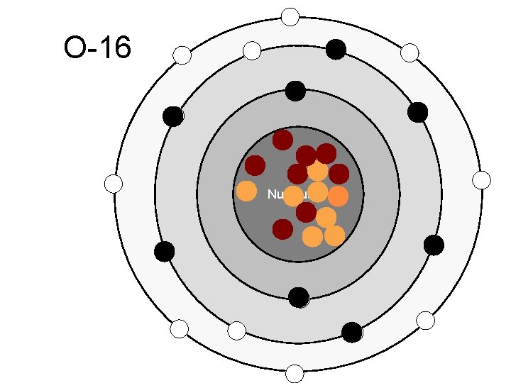 O-16 Nucleus O-16 Nucleus