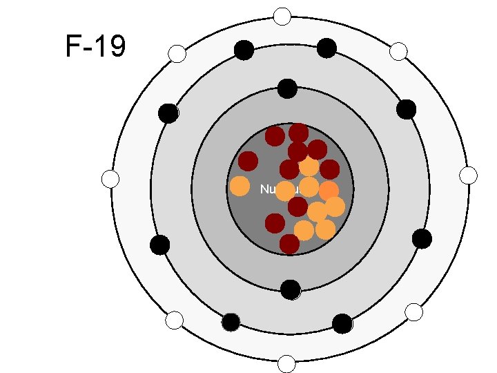 F-19 Nucleus F-19 Nucleus