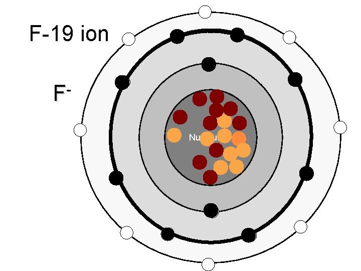 F-19 ion F Nucleus F-19 ion F Nucleus