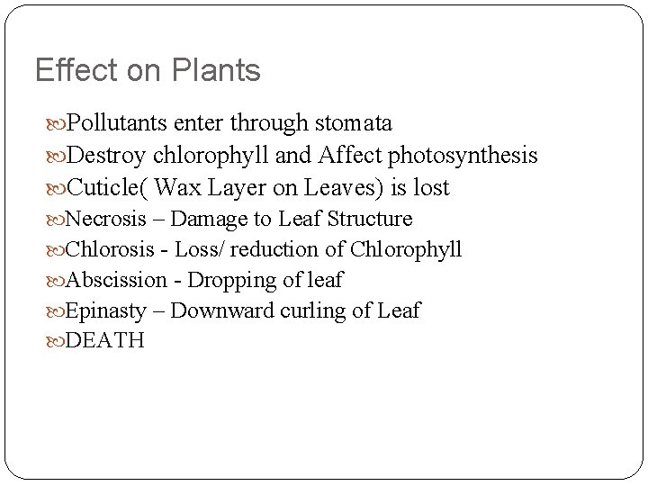 Effect on Plants Pollutants enter through stomata Destroy chlorophyll and Affect photosynthesis Cuticle( Wax