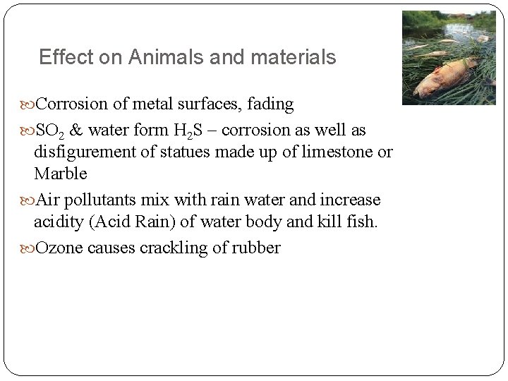 Effect on Animals and materials Corrosion of metal surfaces, fading SO 2 & water