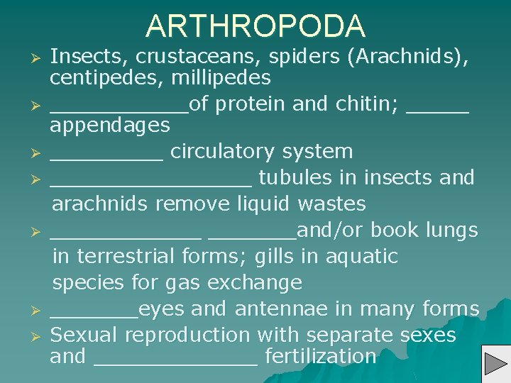 ARTHROPODA Ø Ø Ø Ø Insects, crustaceans, spiders (Arachnids), centipedes, millipedes ______of protein and