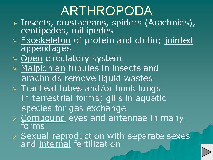 ARTHROPODA Ø Ø Ø Ø Insects, crustaceans, spiders (Arachnids), centipedes, millipedes Exoskeleton of protein