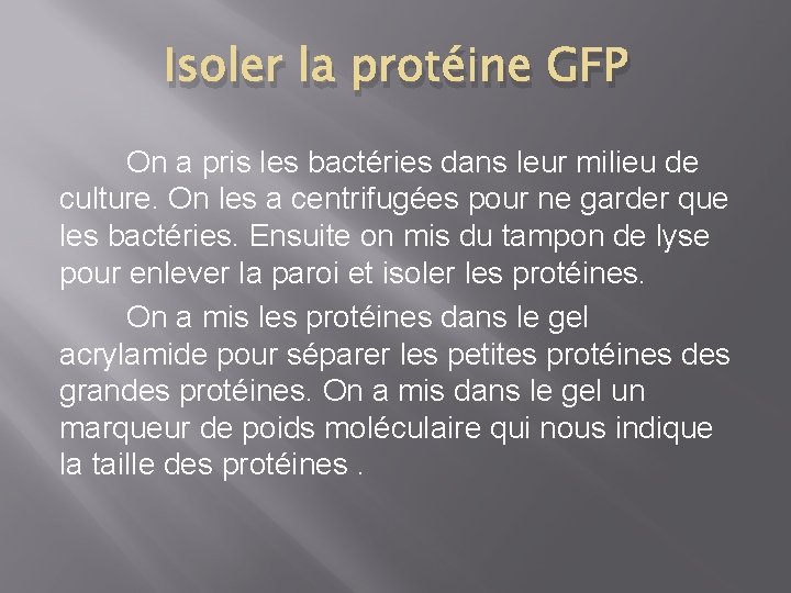 Isoler la protéine GFP On a pris les bactéries dans leur milieu de culture.