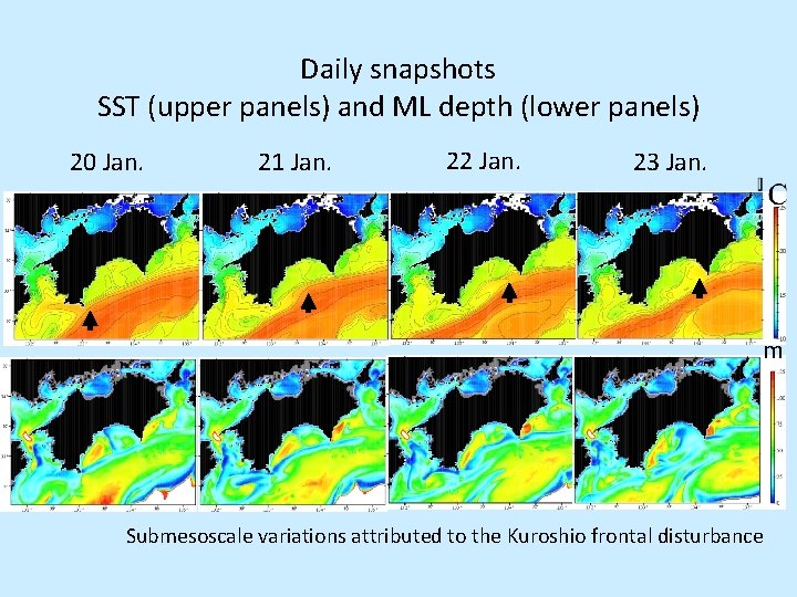 Daily snapshots SST (upper panels) and ML depth (lower panels) 20 Jan. 21 Jan.