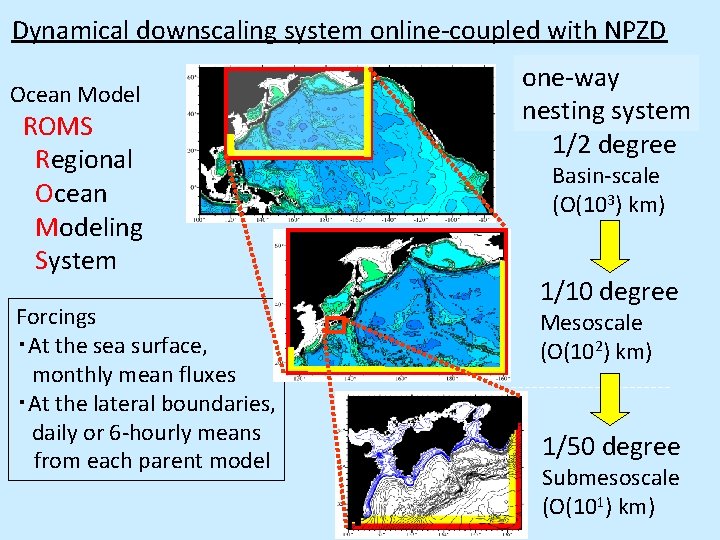 Dynamical downscaling system online-coupled with NPZD Ocean Model ROMS Regional Ocean Modeling System Forcings