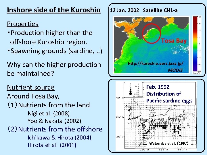 Inshore side of the Kuroshio Properties ・Production higher than the offshore Kuroshio region. ・Spawning