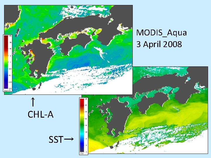 MODIS_Aqua 3 April 2008 ↑ CHL-A SST→ 