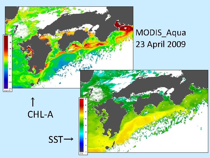 MODIS_Aqua 23 April 2009 ↑ CHL-A SST→ 