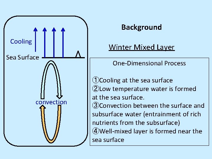Background Cooling Winter Mixed Layer Sea Surface convection One-Dimensional Process ①Cooling at the sea