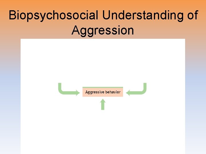 Biopsychosocial Understanding of Aggression 