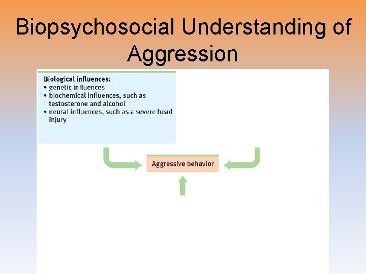 Biopsychosocial Understanding of Aggression 