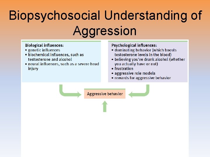 Biopsychosocial Understanding of Aggression 
