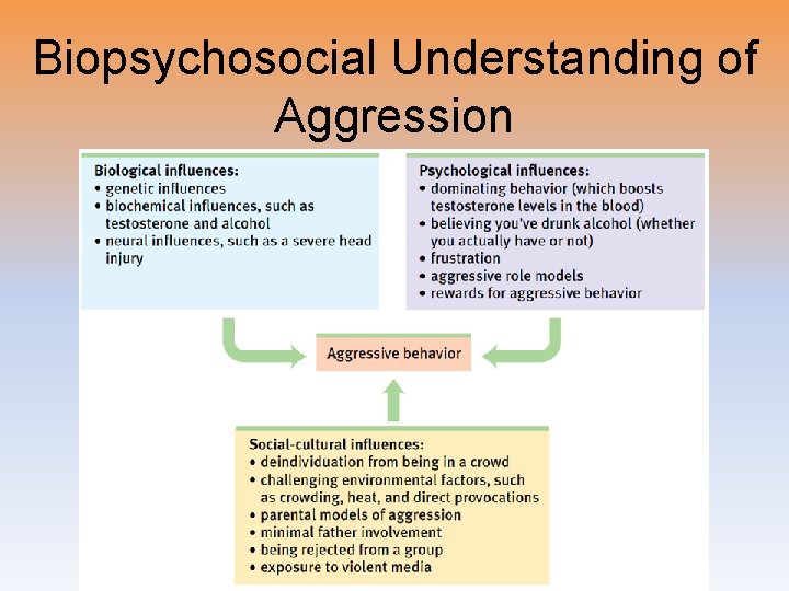 Biopsychosocial Understanding of Aggression 