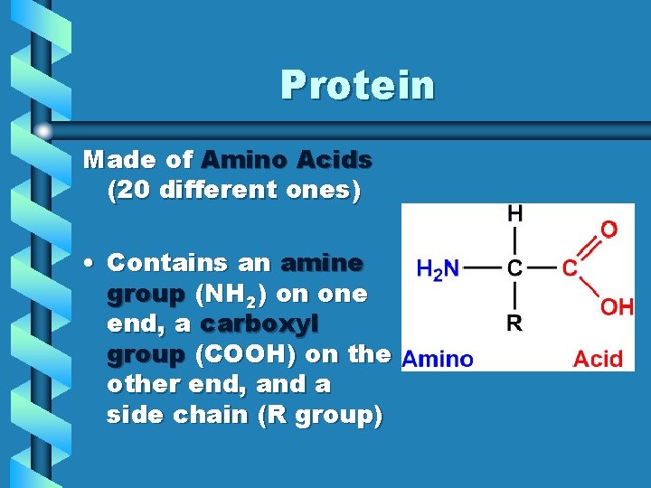 Protein Made of Amino Acids (20 different ones) • Contains an amine group (NH