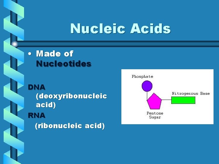 Nucleic Acids • Made of Nucleotides DNA (deoxyribonucleic acid) RNA (ribonucleic acid) 