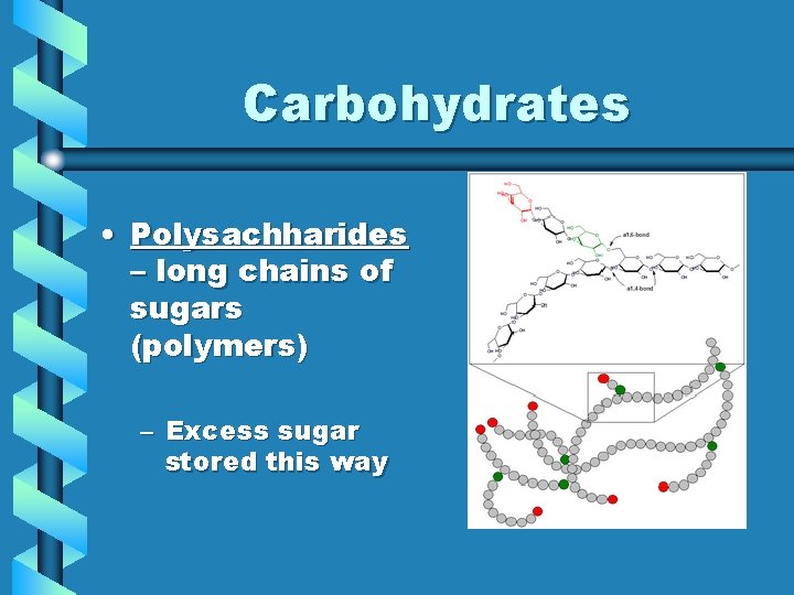 Carbohydrates • Polysachharides – long chains of sugars (polymers) – Excess sugar stored this