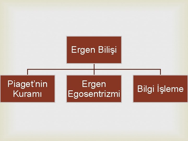 Ergen Bilişi Piaget’nin Kuramı Ergen Egosentrizmi Bilgi İşleme 