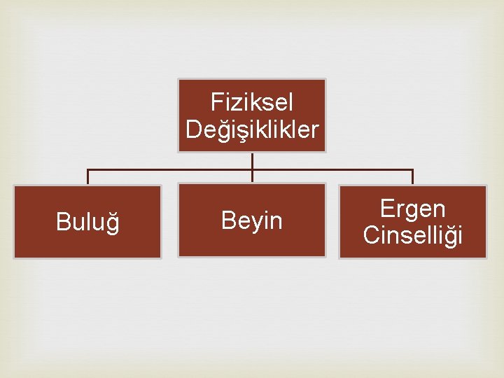 Fiziksel Değişiklikler Buluğ Beyin Ergen Cinselliği 