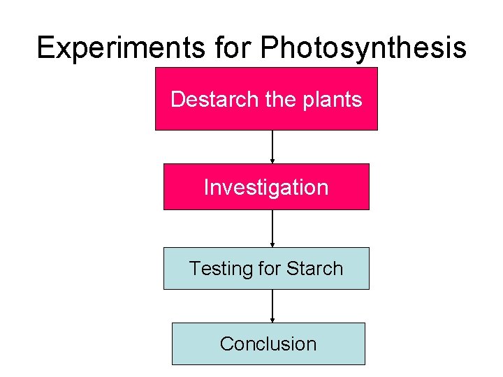 Experiments for Photosynthesis Destarch the plants Investigation Testing for Starch Conclusion 
