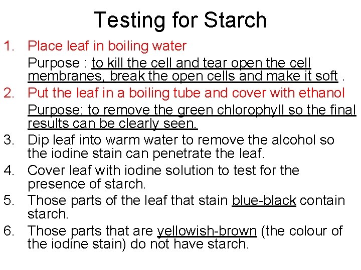 Testing for Starch 1. Place leaf in boiling water Purpose : to kill the