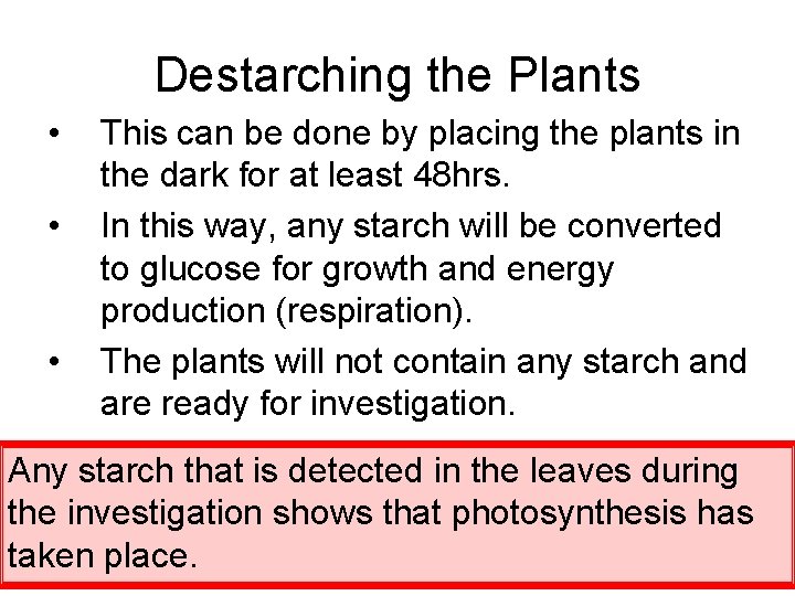 Destarching the Plants • • • This can be done by placing the plants