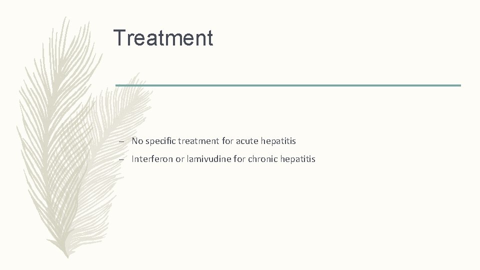 Treatment – No specific treatment for acute hepatitis – Interferon or lamivudine for chronic
