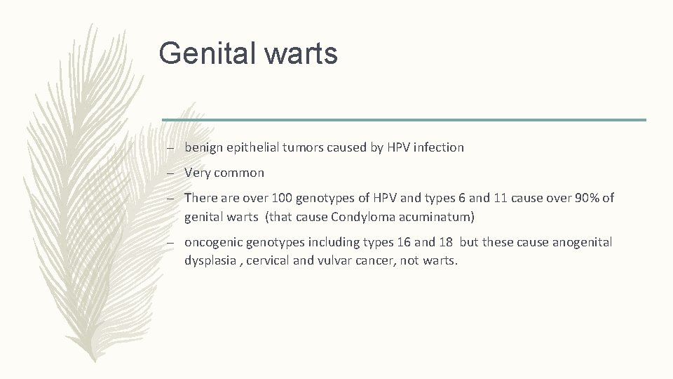 Genital warts – benign epithelial tumors caused by HPV infection – Very common –