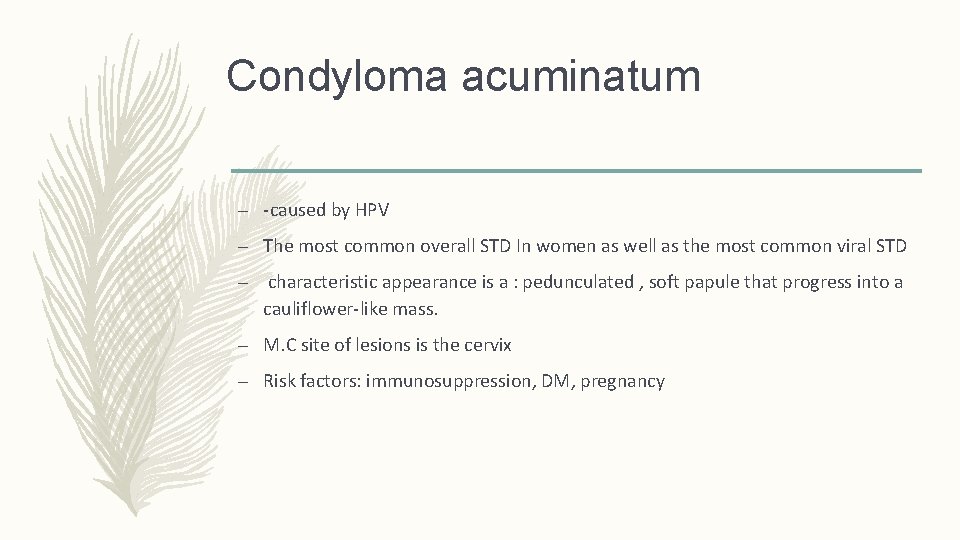 Condyloma acuminatum – -caused by HPV – The most common overall STD In women