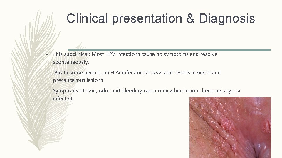 Clinical presentation & Diagnosis – It is subclinical: Most HPV infections cause no symptoms