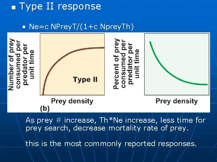 n Type II response • Ne=c NPrey. T/(1+c Nprey. Th) As prey # increase,