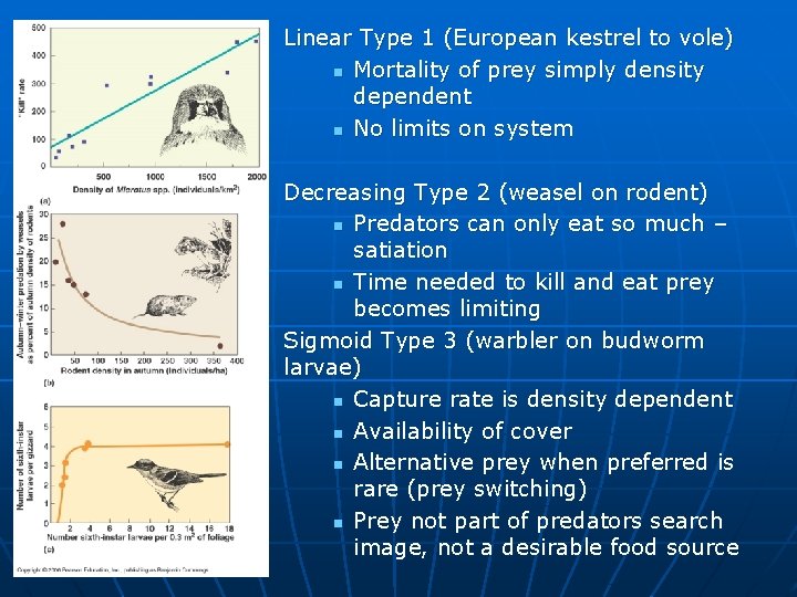 n n n Linear Type 1 (European kestrel to vole) n Mortality of prey