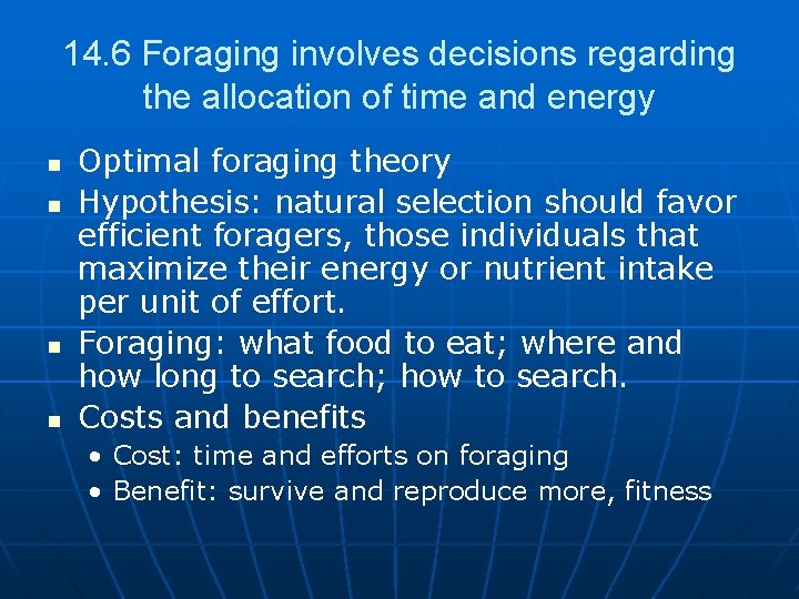 14. 6 Foraging involves decisions regarding the allocation of time and energy n n