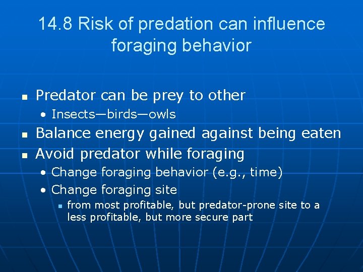 14. 8 Risk of predation can influence foraging behavior n Predator can be prey