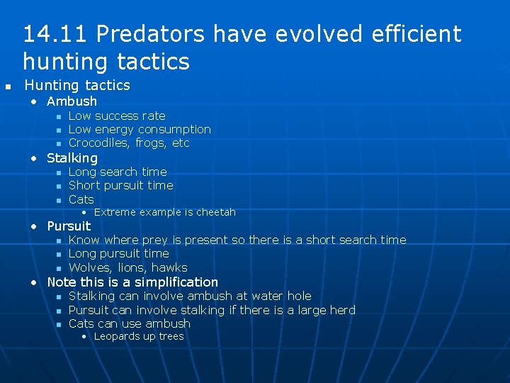 14. 11 Predators have evolved efficient hunting tactics n Hunting tactics • Ambush n