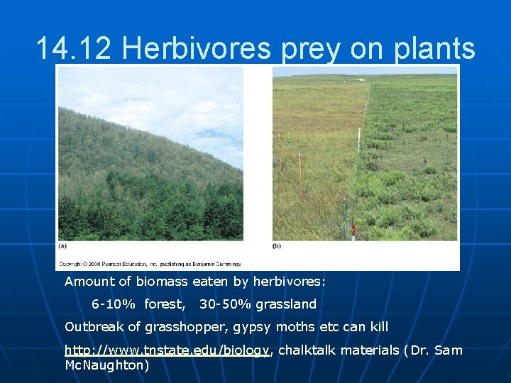 14. 12 Herbivores prey on plants Amount of biomass eaten by herbivores: 6 -10%