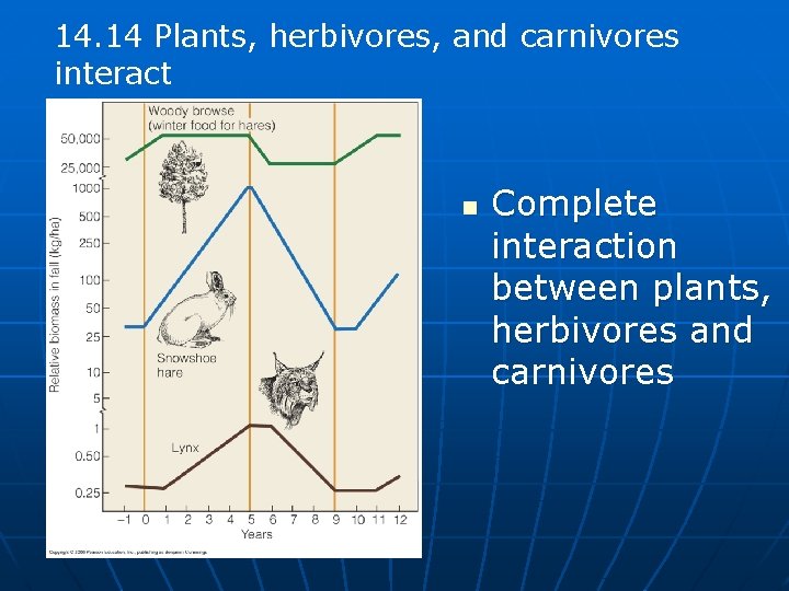 14. 14 Plants, herbivores, and carnivores interact n Complete interaction between plants, herbivores and