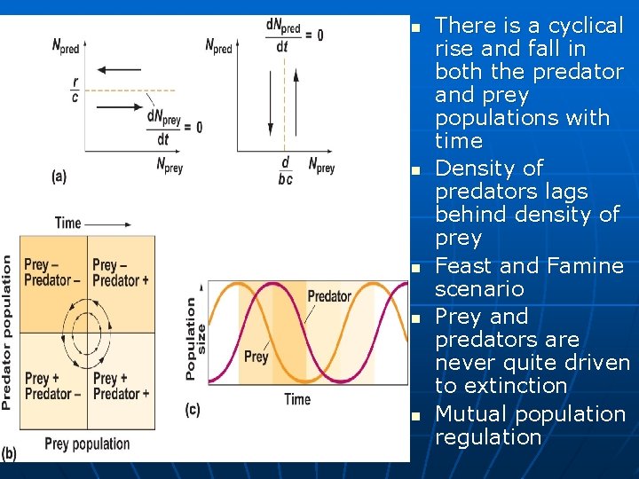 Pred n n n There is a cyclical rise and fall in both the