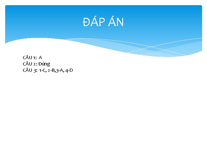 ĐÁP ÁN C U 1: A C U 2: Đúng C U 3: 1