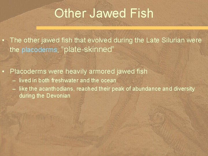 Other Jawed Fish • The other jawed fish that evolved during the Late Silurian