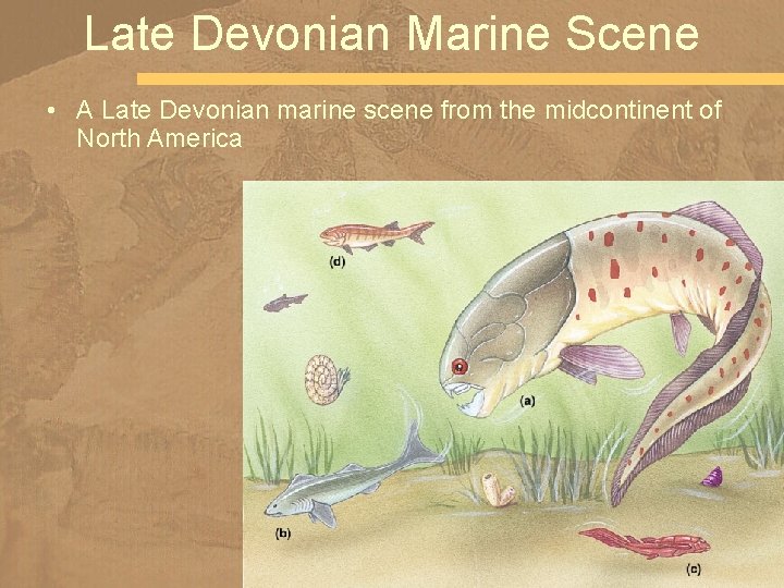 Late Devonian Marine Scene • A Late Devonian marine scene from the midcontinent of