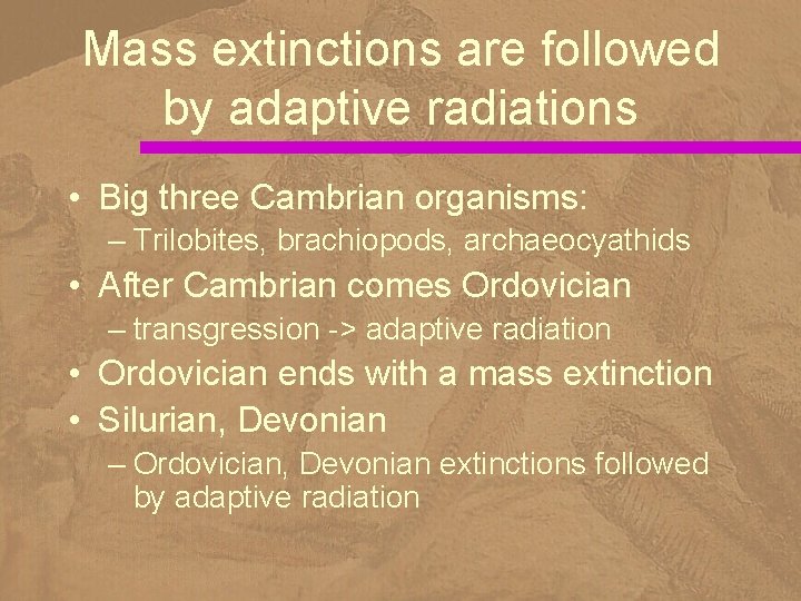 Mass extinctions are followed by adaptive radiations • Big three Cambrian organisms: – Trilobites,