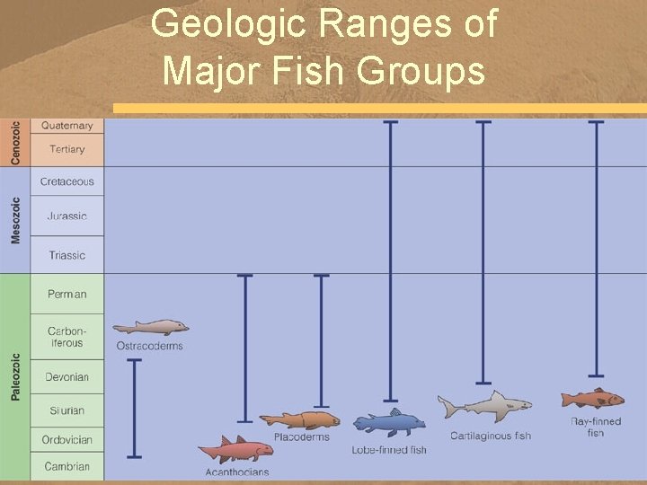 Geologic Ranges of Major Fish Groups 