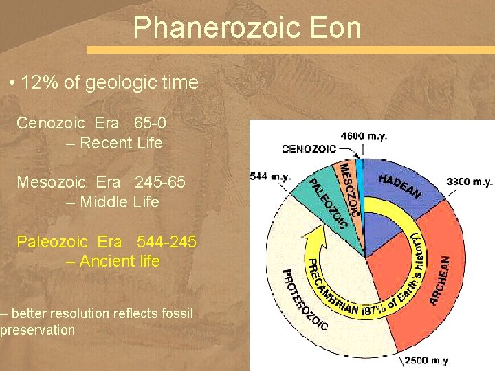 Phanerozoic Eon • 12% of geologic time Cenozoic Era 65 -0 – Recent Life