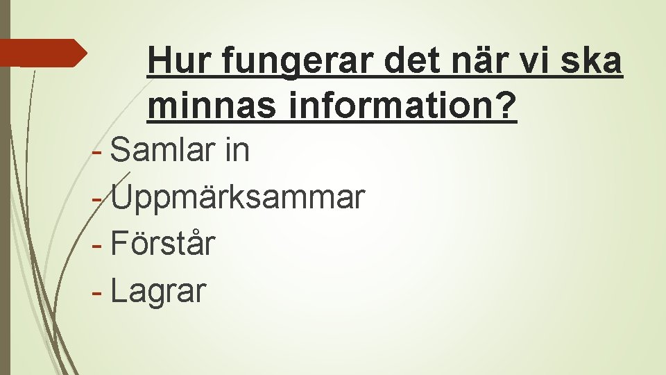 Hur fungerar det när vi ska minnas information? - Samlar in - Uppmärksammar -