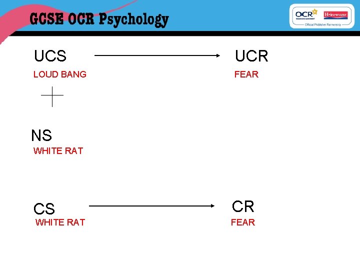 UCS UCR LOUD BANG FEAR NS WHITE RAT CR FEAR 