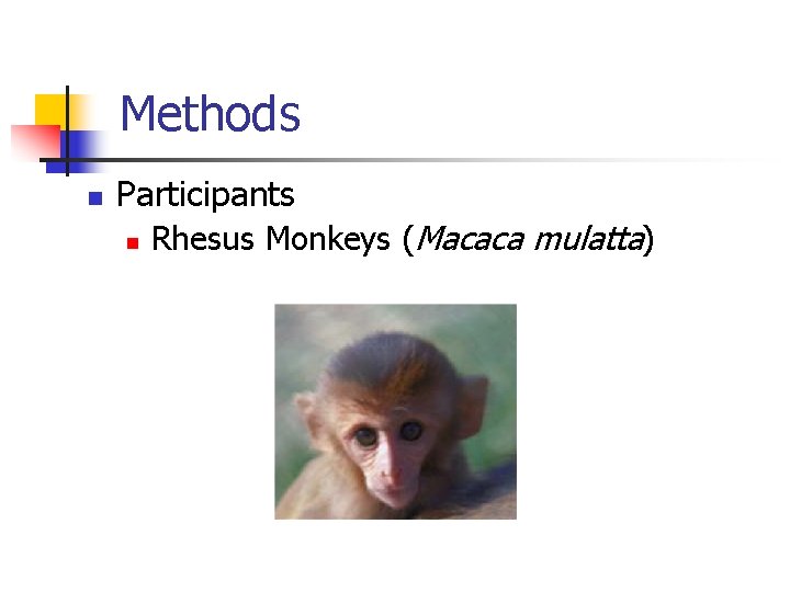 Methods n Participants n Rhesus Monkeys (Macaca mulatta) 