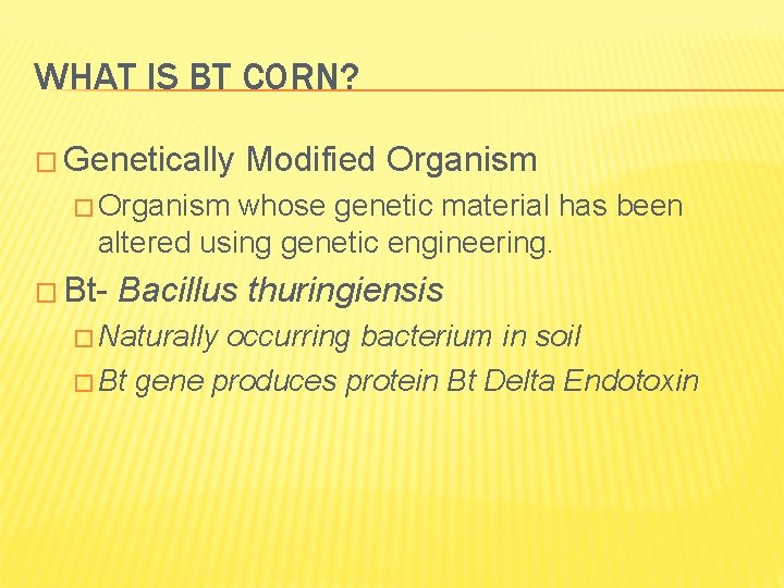 WHAT IS BT CORN? � Genetically Modified Organism � Organism whose genetic material has